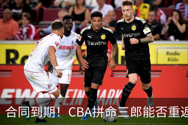 合同到期！CBA拼命三郎能否重返广东？期待辅佐徐杰、胡明轩